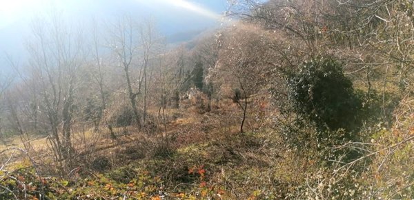 appartamento in vendita a Valdagno