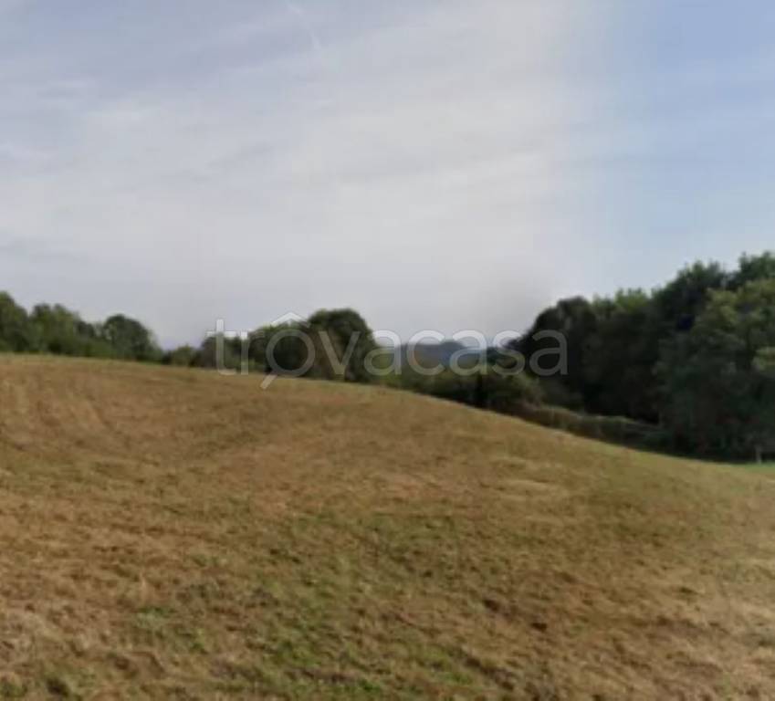 immagine annuncio 0 di 8