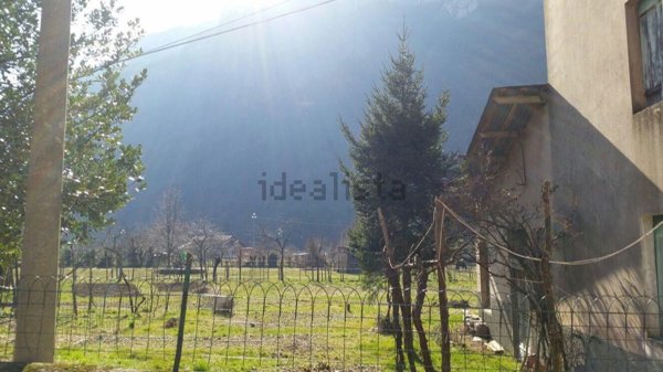 pentavano in vendita a Valdastico