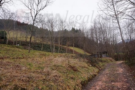 terreno edificabile in vendita a Valli del Pasubio