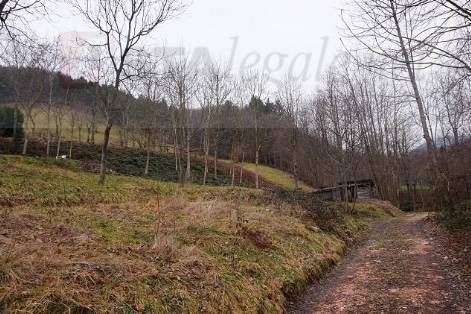 terreno edificabile in vendita a Valli del Pasubio