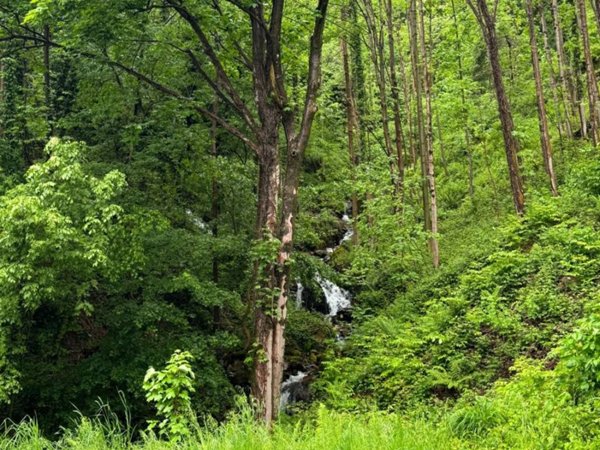casa indipendente in vendita a Valli del Pasubio