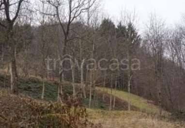 terreno agricolo in vendita a Valli del Pasubio