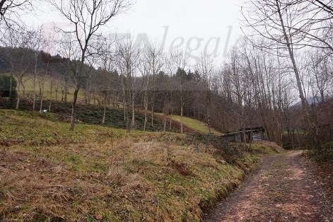 terreno agricolo in vendita a Valli del Pasubio