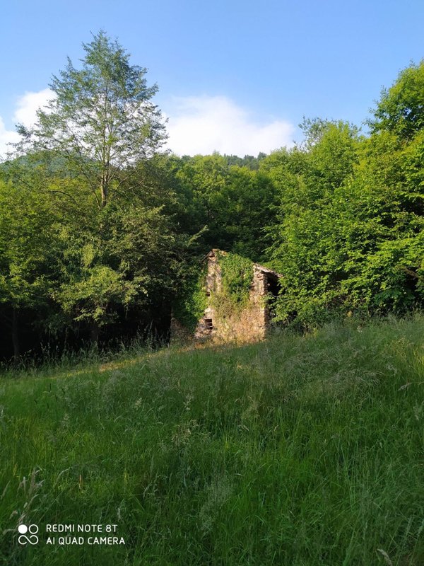 casa indipendente in vendita a Valli del Pasubio