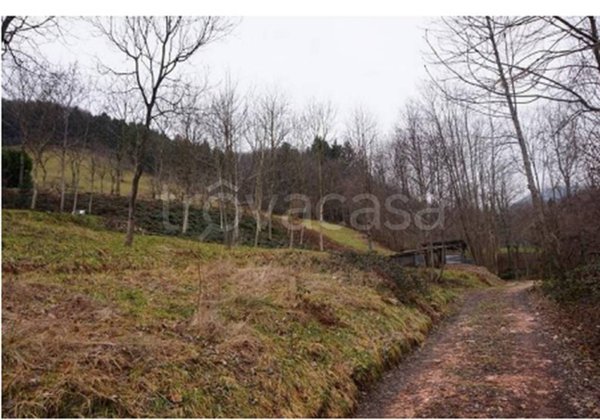 terreno edificabile in vendita a Valli del Pasubio