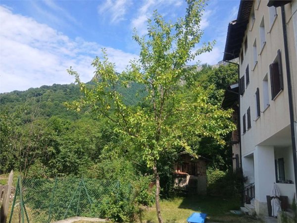 pentavano in vendita a Valli del Pasubio