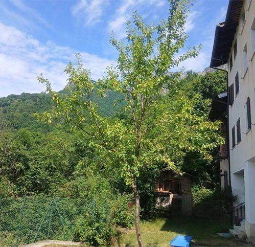 pentavano in vendita a Valli del Pasubio