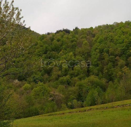 terreno edificabile in vendita a Valli del Pasubio