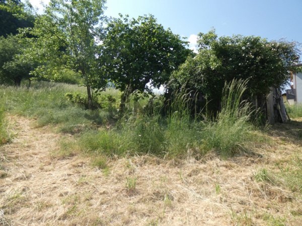bifamiliare in vendita a Valli del Pasubio in zona Staro