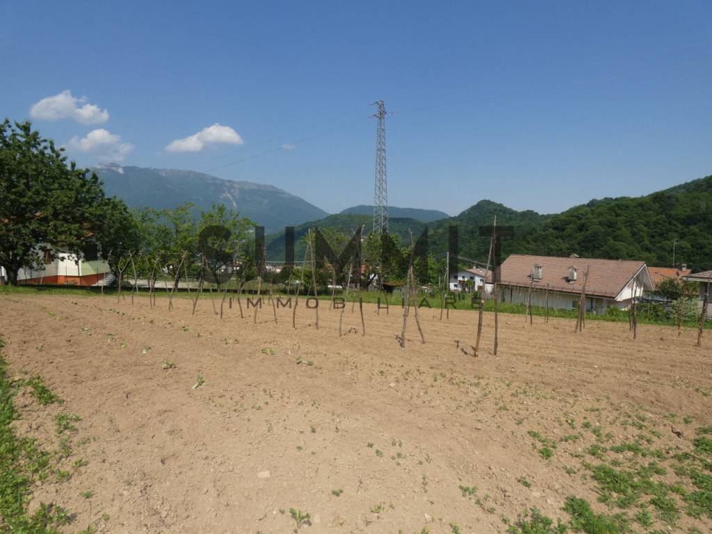 terreno agricolo in vendita a Valli del Pasubio in zona Staro