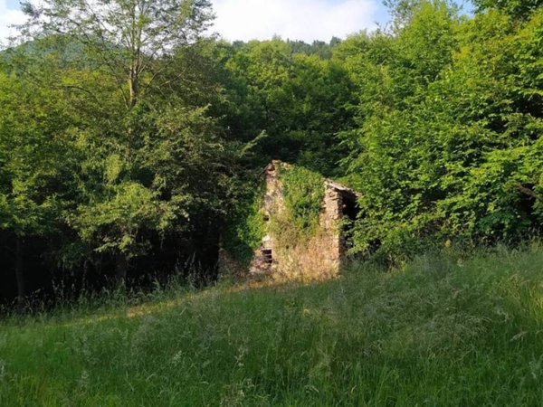 casa indipendente in vendita a Valli del Pasubio