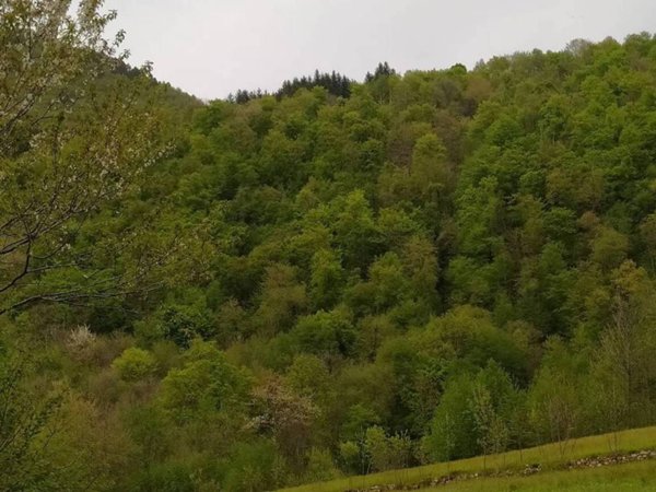 terreno edificabile in vendita a Valli del Pasubio
