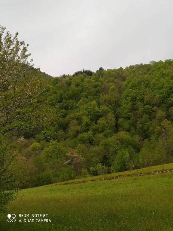 terreno edificabile in vendita a Valli del Pasubio