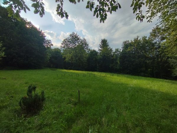 terreno in vendita a Valli del Pasubio in zona Staro