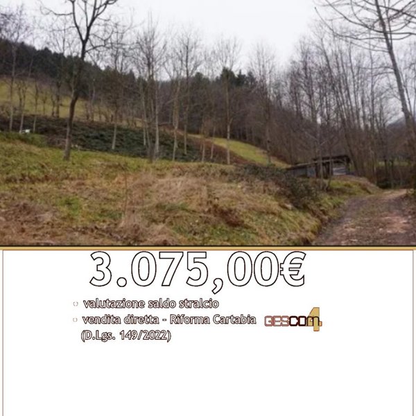 terreno in vendita a Valli del Pasubio in zona Staro