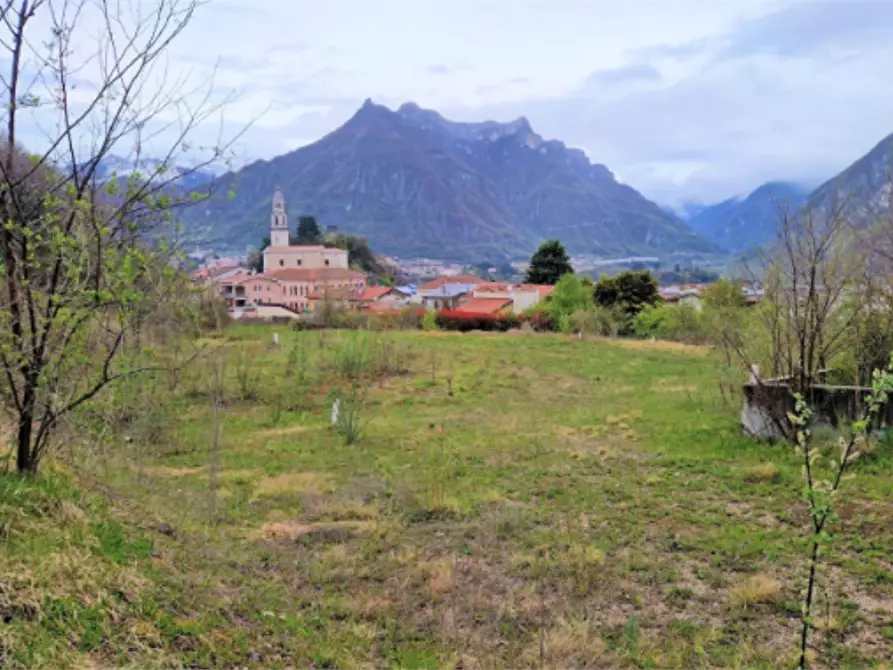 terreno agricolo in vendita a Velo d'Astico
