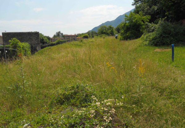 terreno edificabile in vendita a Velo d'Astico