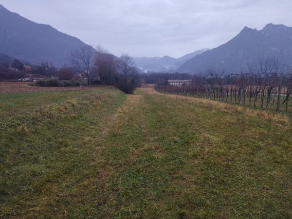 terreno agricolo in vendita a Velo d'Astico