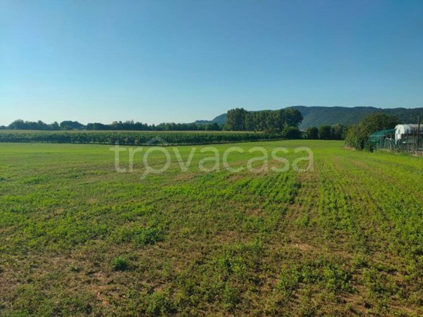 terreno agricolo in vendita a Vicenza in zona Longara