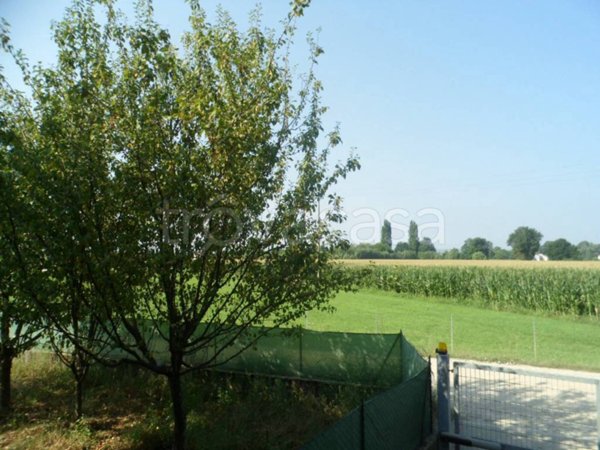 appartamento in vendita a Vicenza in zona Polegge