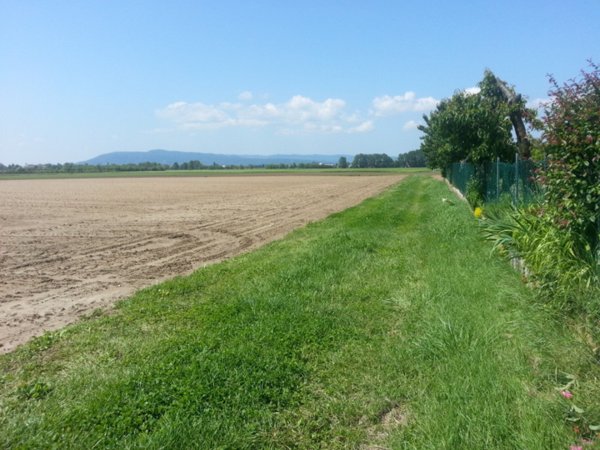 terreno edificabile in vendita a Vicenza in zona San Bortolo/San Paolo