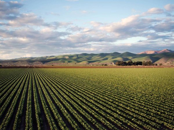 terreno agricolo in vendita a Vicenza