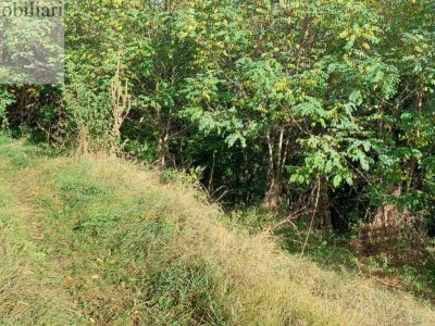 terreno agricolo in vendita a Vicenza