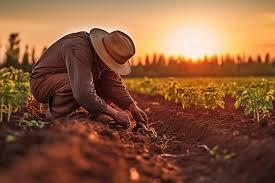 terreno agricolo in vendita a Vicenza in zona Monte Berico