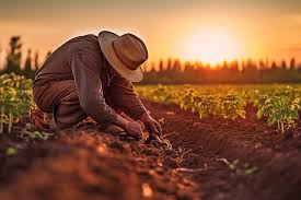 terreno agricolo in vendita a Vicenza