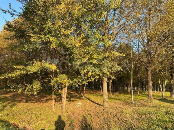 terreno agricolo in vendita a Vicenza in zona Gogna
