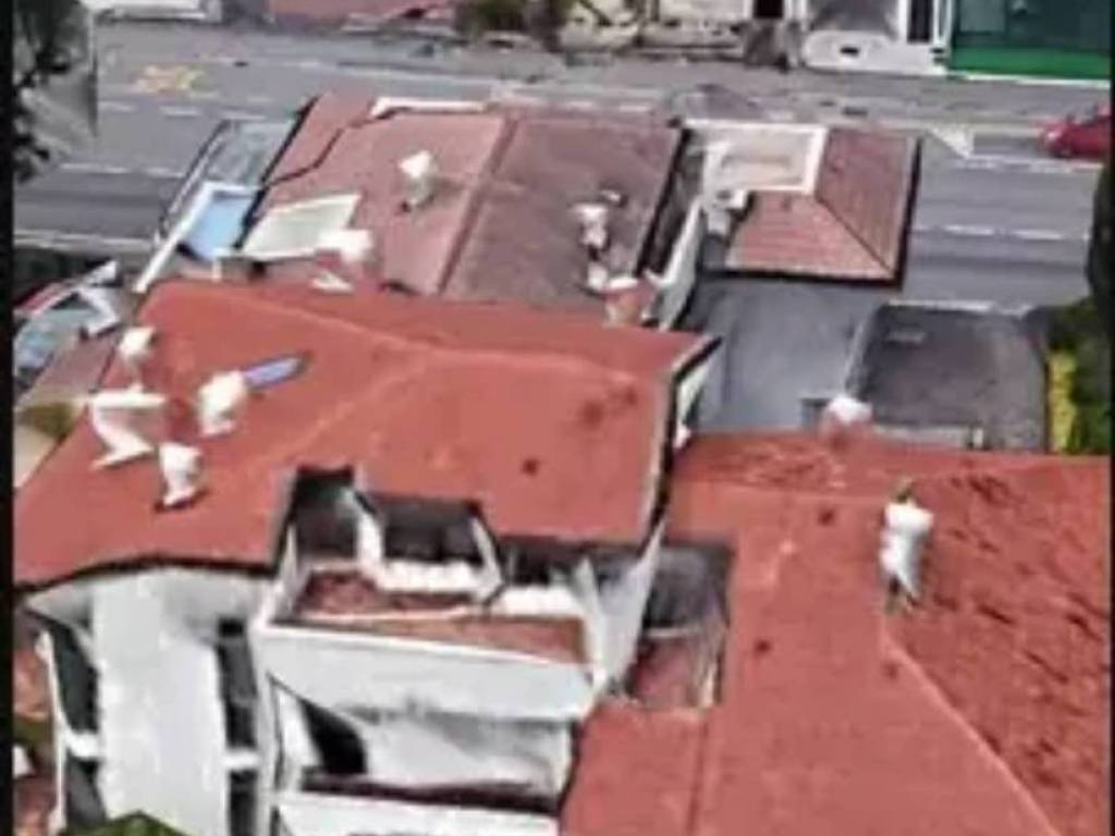 casa indipendente in vendita a Vicenza in zona Anconetta