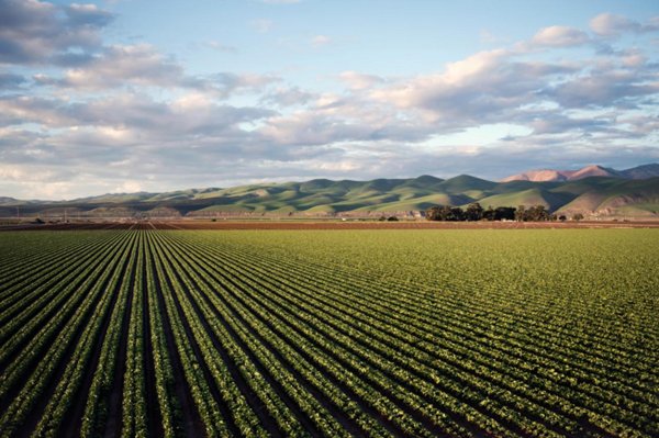 terreno agricolo in vendita a Vicenza in zona Bertesinella