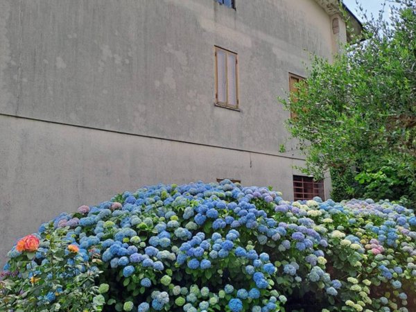 casa indipendente in vendita a Vicenza in zona Centro Storico
