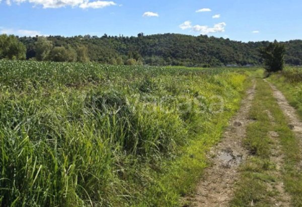 terreno agricolo in vendita a Vicenza in zona Monte Berico