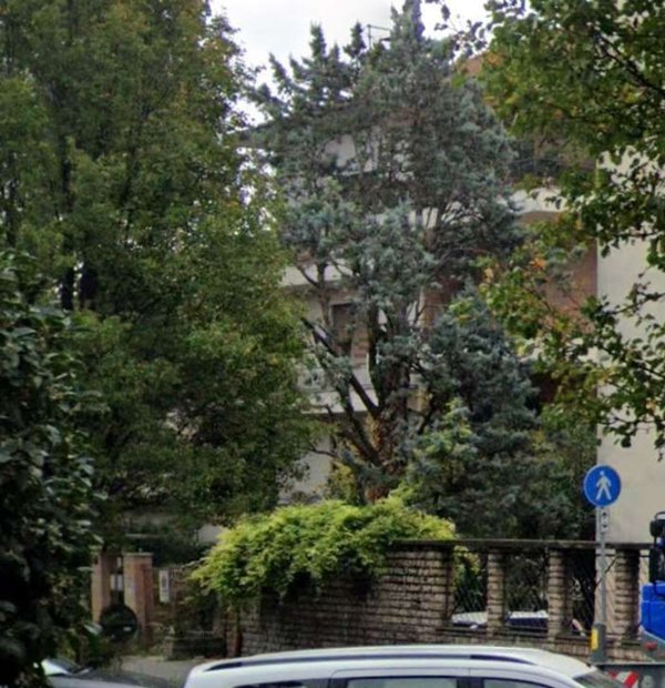 appartamento in vendita a Vicenza in zona San Bortolo/San Paolo