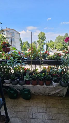 appartamento in vendita a Vicenza in zona Villaggio del Sole