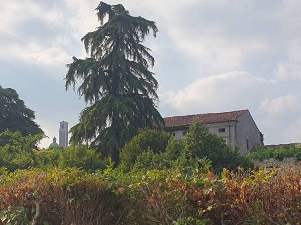 intera palazzina in vendita a Vicenza in zona Monte Berico