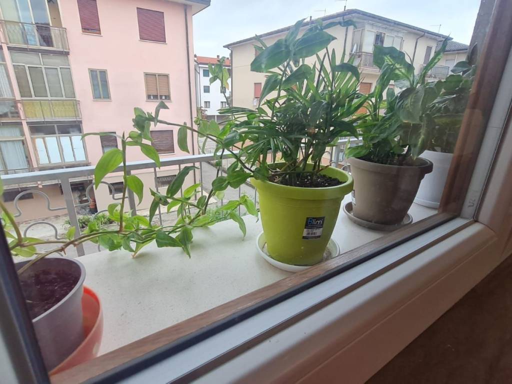 appartamento in vendita a Vicenza in zona Pio X