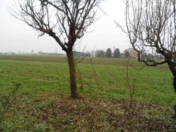 casa indipendente in vendita a Vicenza in zona San Bortolo/San Paolo