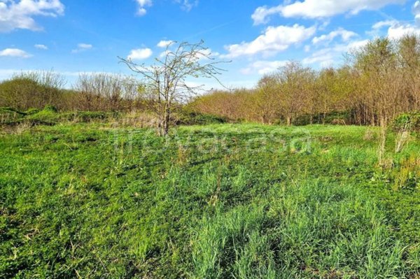 terreno agricolo in vendita a Vicenza in zona Bertesinella