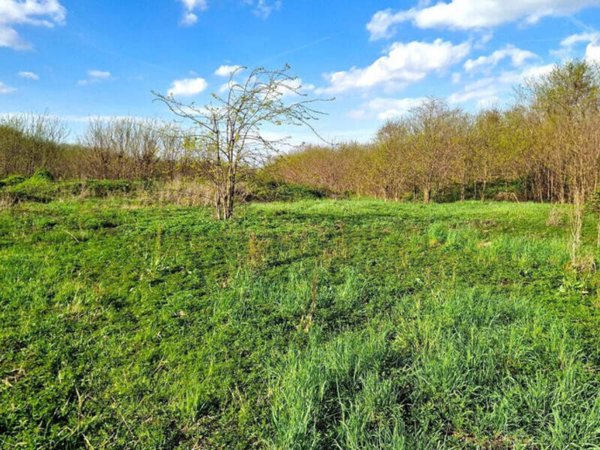 terreno agricolo in vendita a Vicenza in zona Pio X