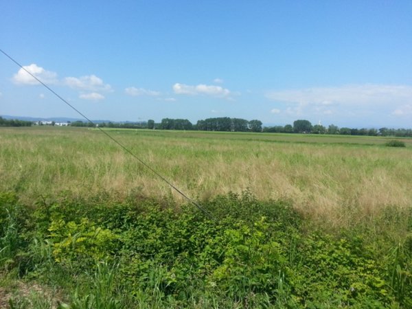 casa indipendente in vendita a Vicenza in zona San Bortolo/San Paolo