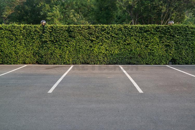 negozio in vendita a Vicenza