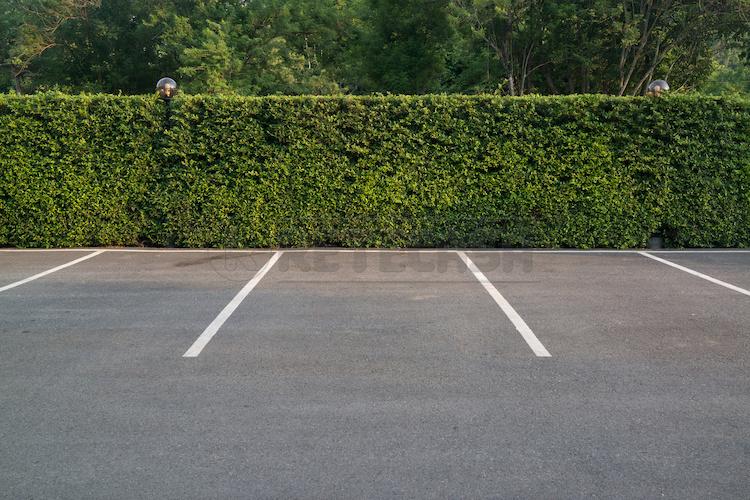 negozio in vendita a Vicenza