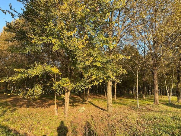 terreno agricolo in vendita a Vicenza in zona Gogna