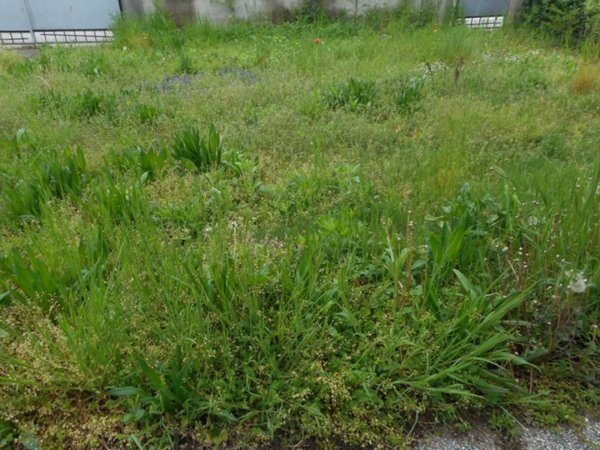 casa indipendente in vendita a Vicenza in zona Centro Storico