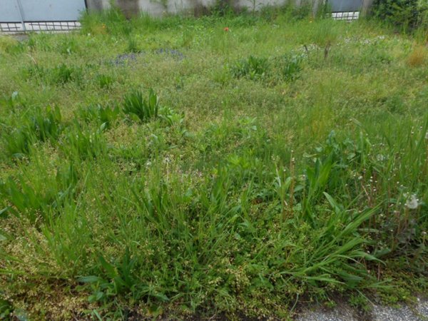 casa indipendente in vendita a Vicenza in zona San Bortolo/San Paolo