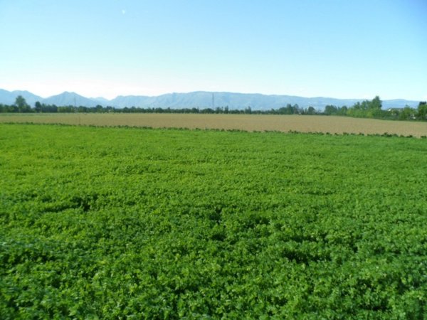 terreno edificabile in vendita a Vicenza in zona Laghetto