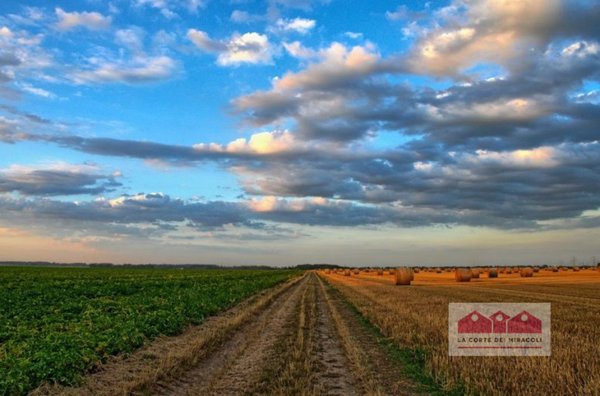 terreno agricolo in vendita a Vicenza in zona Anconetta